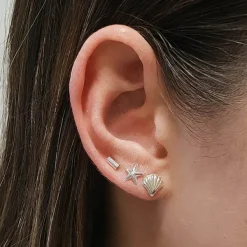 Studio Jewellery Stud Earrings | Earrings-925 Sterling Silver Sea Shell Earring Studs